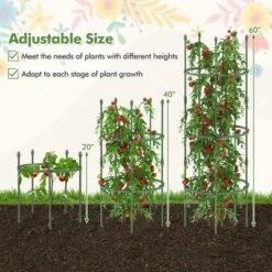 Tangkula 3-Pack Garden Tomato Trellis 60" Plant Support Cage W/ Adjustable Size For Plants -Tangkula GUEST 08f2a0c8 9a76 4888 b811 635200401416