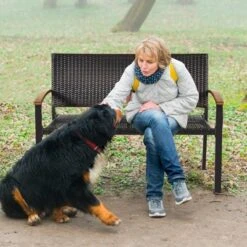 Tangkula 2 PCS Patio Furniture Set Weather-Resistant Rattan Bench Wicker Loveseat Steel Frame For Yard Garden Poolside 13 Tangkula 2 PCS Patio Furniture Set Weather-Resistant Rattan Bench Wicker Loveseat Steel Frame For Yard Garden Poolside -Tangkula GUEST 2b40ec99 80d4 48c1 a35d 284bb36fd6c3