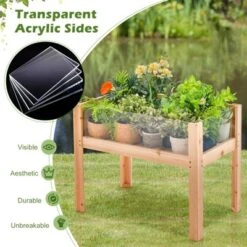 Tangkula Raised Wooden Garden Bed With Legs 24"/31” Elevated Planter Box With 2 Acrylic Panel Sides Drain Holes, Movable Beds -Tangkula GUEST 2fa2db58 dc8d 4e7a b757 ff27da38012a