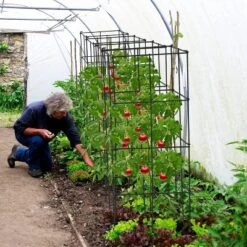 Tangkula 8 Pack Folding Tomato Cages 39" Tall Square Plant Support Cage For Garden Climbing Plants Flowers Fruits Heavy Duty Vegetable Trellis -Tangkula GUEST 3fe74d8d 1656 41c2 82f5 106737219840