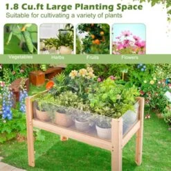 Tangkula Raised Wooden Garden Bed With Legs 24"/31” Elevated Planter Box With 2 Acrylic Panel Sides Drain Holes, Movable Beds -Tangkula GUEST 6ab6ffaa b7f0 454e ae4c 1e03e45d3159