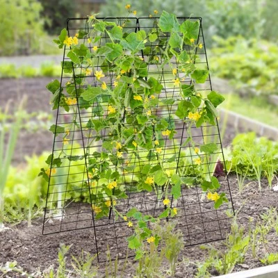 Tangkula 2-Piece Green Cucumber Garden Trellis Grow Support For Climbing Plant 3 Tangkula 2-Piece Green Cucumber Garden Trellis Grow Support For Climbing Plant