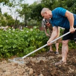 Tangkula 70" Garden Thatch Rake W/ Long Handle & 19 Curved Tines -Tangkula GUEST 983423c4 d803 4bcf a17b 7784a81081d3